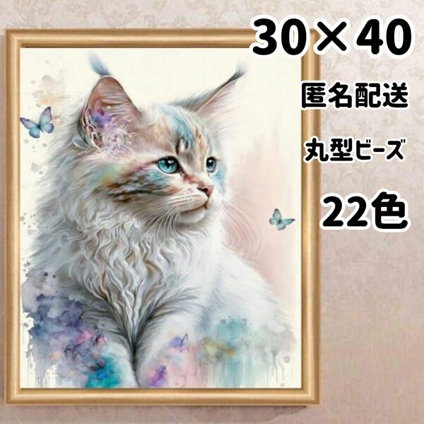 ダイヤモンドアートキット30×40 見つめる猫　美人猫 
