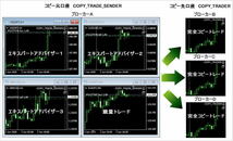 MT4 MT5 コピー トレード 口座 縛り 無効 ツール ブローカー ヘッジ 資金分散 自動売買 EA エキスパートアドバイザー ミラー トレーダー_画像2