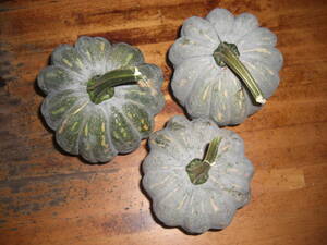 地場野菜　　無農薬自然栽培　　特殊かぼちゃ　南瓜　３個　　収穫時重量　　約３，４８ｋｇ