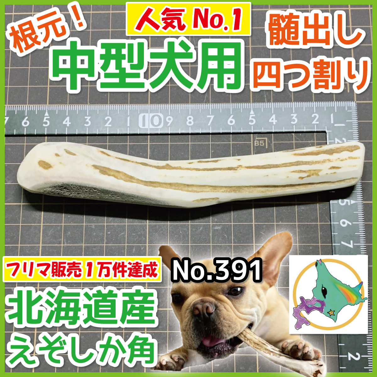 中型犬用 根元部分 四半割り 1本 天然 北海道産 蝦夷鹿の角 犬の