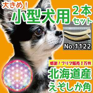 ■ 小型犬用 ■ 大きめ！ 2本セット ■ 天然 無添加 北海道産 蝦夷鹿の角 ■ 犬のおもちゃ ■ 鹿角 エゾシカ ツノ 鹿の角 犬 11221