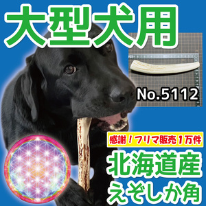 ■ 大型犬用 ■ 天然 北海道産 蝦夷鹿の角 ■ 1本 ■ 犬のおもちゃ ■ 無添加 エゾシカ ツノ 鹿の角 犬 51122