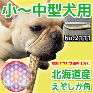 ■ 小～中型犬用 ■ 天然 北海道産 蝦夷鹿の角 ■ 1本 ■ 犬のおもちゃ ■ 無添加 エゾシカ ツノ 鹿の角 犬 21112