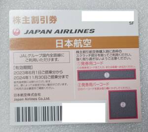 JAL　株主優待券　1枚　2024/11/30まで　大網てんとう虫　15-954-1