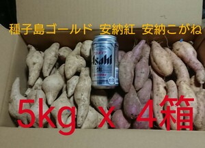 5キロが4箱 安納芋 2品種(安納紅 & 安納こがね) & 種子島ゴールド(紫芋) SSサイズ 20kg