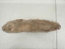 ☆D651　直接引き取り限定　化石　古代魚　横幅41cm×10cm　1723ｇ、横幅40cm×9.5cm　1211ｇ　鑑賞石_画像7