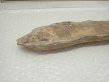 ☆D651　直接引き取り限定　化石　古代魚　横幅41cm×10cm　1723ｇ、横幅40cm×9.5cm　1211ｇ　鑑賞石_画像10
