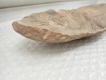 ☆D651　直接引き取り限定　化石　古代魚　横幅41cm×10cm　1723ｇ、横幅40cm×9.5cm　1211ｇ　鑑賞石_画像4