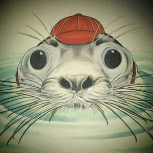 ヤフオク アザラシ 絵画 の中古品 新品 未使用品一覧 ヤフオク アザラシ 絵画 の中古品 新品 未使用品一覧