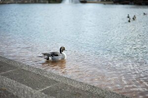 9337② 風景写真 L/2Lサイズ 当方オリジナル撮影フリー写真