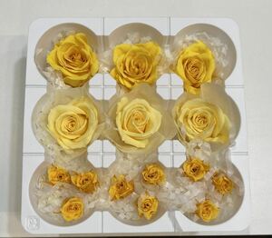 * консервированный цветок материалы для цветочной композиции набор * оттенок желтого желтый цвет 