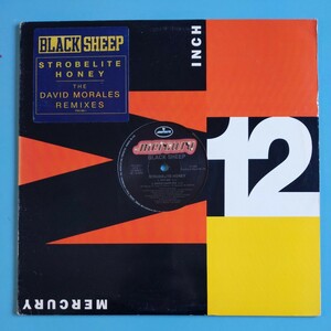 【US盤/試聴済12'】Black Sheep『STROBELITE HONEY』David Morales Remixes★1992年PRO-995-1