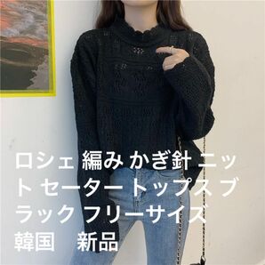 ロシェ 編み かぎ針 ニット セーター トップス ブラック フリーサイズ　韓国　新品