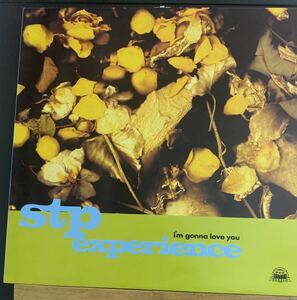 12EP STP Experience I'm Gonna Love You BARRY WHITEグランドビートカバー the orb youth