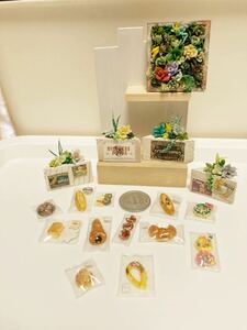 ミニチュア ハンドメイド ブライス 多肉植物 雑貨 シルバニア 樹脂粘土 寄植え 額