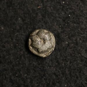 シュリビジャヤ王国 ジャワ島 Masa錫貨（800-1300年）[1043]インドネシア、コイン、蘭印、オランダ領東インド