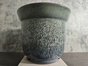 Lサイズ　手作植木鉢　検（invisible ink カタチ製作所 中川智治 亀甲竜 グラキリス オペルクリカリア パキプス マカイエンセイ アガベ)