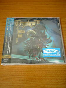 ◆新譜 GRYMHEART/HELLISH HUNT◆メロデス WISDOM グリムハート チルボト系 新作美品◆