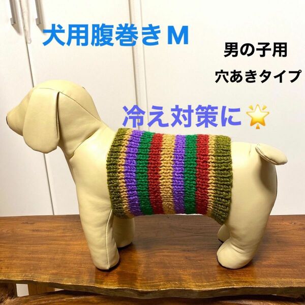 犬用腹巻きM 男の子用　H-287