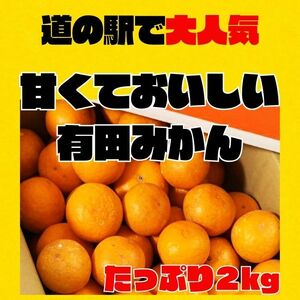 有田みかん　B級 ほとんど無農薬 甘い有田みかん ２kg　早生