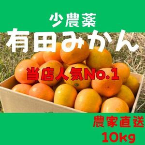 小さいサイズ 有田みかん　B級 ほとんど無農薬 甘い有田みかん 10kg