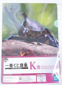 ☆ 一番くじ昆虫 世界の昆虫博物館 K賞 クリアファイル・ステッカーセット カブトムシ ☆