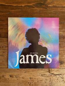 James「Sit Down」UK盤 12inch Live At G-Mexバージョン収録 クラブヒット インディーロック ギターポップ ブリットポップ ジェイムズ