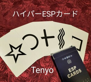 【★ テンヨー Tenyo ハイパーESP マジック 手品 カード 廃盤！★】