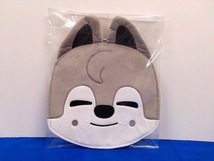 【Stray Kids/SKZ】Wolf Chan/ウルフチャン うちわカバー☆美品（3851）_画像1