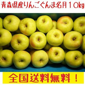 青森県産　ぐんま名月　訳あり　30-40玉程度　１０kg　全国送料無料！