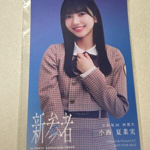 日向坂46 新参者 小西夏菜実