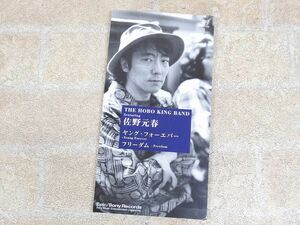 良品! THE HOBO KING BAND featuring 佐野元春 ヤング・フォーエバー 8cm CD 【3884y1】