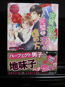 ｅ）完璧彼氏と完璧な恋の進め方　桜木小鳥　エタニティ文庫