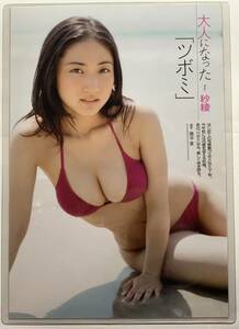 【厚手ラミネート加工】紗綾 水着　雑誌切り抜き ６ページ サイズB5 週刊プレイボーイ２０１３年NO.26【グラビア】-L13