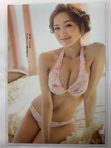 【厚手ラミネート加工】佐藤江梨子 水着　雑誌切り抜き ６ページ サイズB5 週刊プレイボーイ２０１３年NO.21【グラビア】-I11_画像6