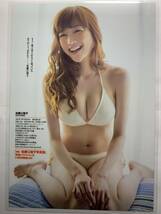 【厚手ラミネート加工】佐藤江梨子 水着　雑誌切り抜き ６ページ サイズB5 週刊プレイボーイ２０１３年NO.21【グラビア】-I11_画像5