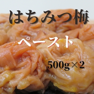 送料無料　訳あり　ペーストはちみつ梅500ｇ×２袋　　ポスト投函　梅干し　うめぼし　紀州南高梅　和歌山　インフルエンザ　風邪