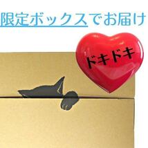 数量限定送料無料　特上はちみつ梅　完熟紀州南高梅　梅干し　400g×２袋　ポスト　は４A×2　安心安全の産地直送　和歌山県産_画像4