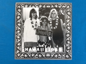 良盤 激レア物 1985年 米国盤 アタリズ Ataris EPレコード Jungle Fish Hawaii 1985 激レア版 インディーズ