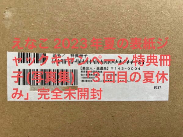 えなこ 2023年夏の表紙ジャックキャンペーン 特典冊子(写真集) 「3回目の夏休み」完全未開封　濡れ防止梱包発送