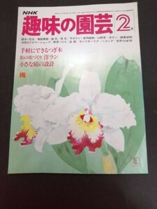 Ba7 00285 NHK 趣味の園芸 1982年2月1日号 梅/紅冬至・一重寒紅・道知辺・玉牡丹 手軽にできるつぎ木 私の花づくり洋ラン 小さな庭の設計