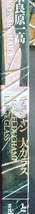 デュシャン大ガラスと滝口修造シガー・ボックス 大型本 　奈良原一高　新品同様_画像3