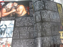 「プロレス悪役列伝」ベースボールマガジン社　平成28年発行　_画像5