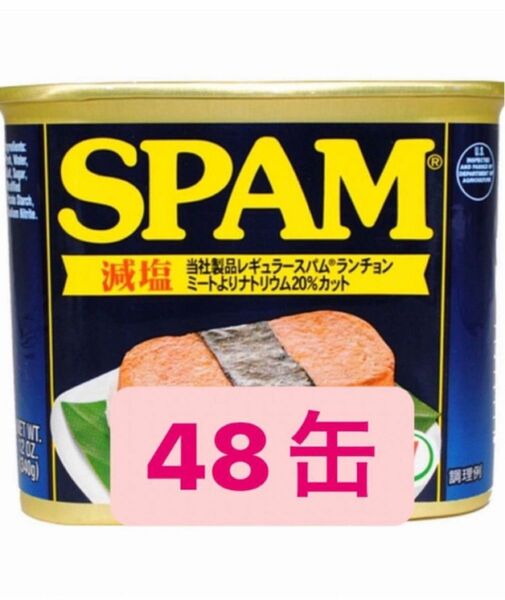 スパム　減塩　ポーク　48缶