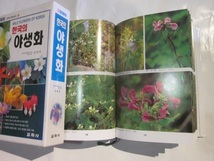 韓国の植物図鑑　樹木、野生の花　2冊◆ （韓国の野生の花）、 （韓国の樹木）◆ハングル、カラー_画像4