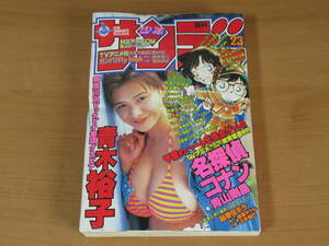No4403/週刊少年サンデー 1996年 23号 青木裕子 グラビア 名探偵コナン H2