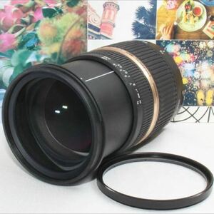 大三元レンズタムロン SP 28-75mm f2.8 ニコン用