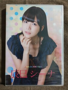 ※未開封DVD 辰巳シーナ / 水玉タレントプロモーション アイドルイメージ グラビア IV 