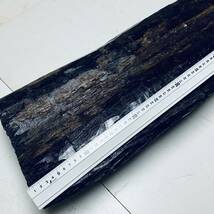 ◆◆◆ 青黒檀 絶滅危惧種 28kg 原木丸太材 Black Diamond wood 一点物855mm ◆ 幻の希少材 最高峰黒檀 Ebony 楽器 ステッキ 唐木細工 箸 _画像5