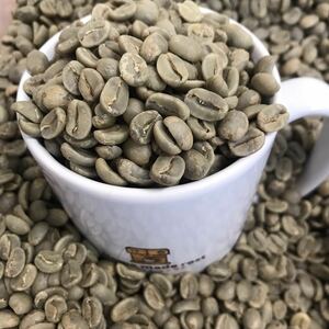 コーヒー生豆　お好み400g2セット